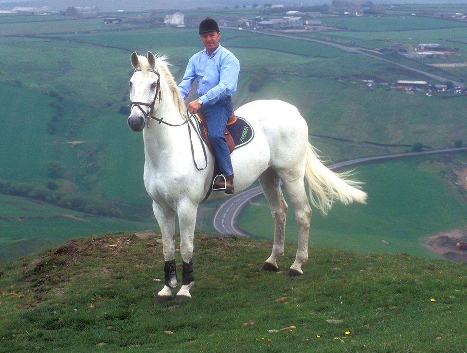 Milton - Showjumping Horse